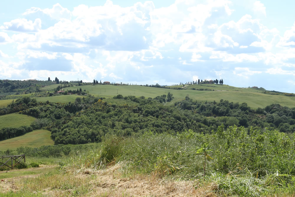 Detail of Tuscan Countryside 5